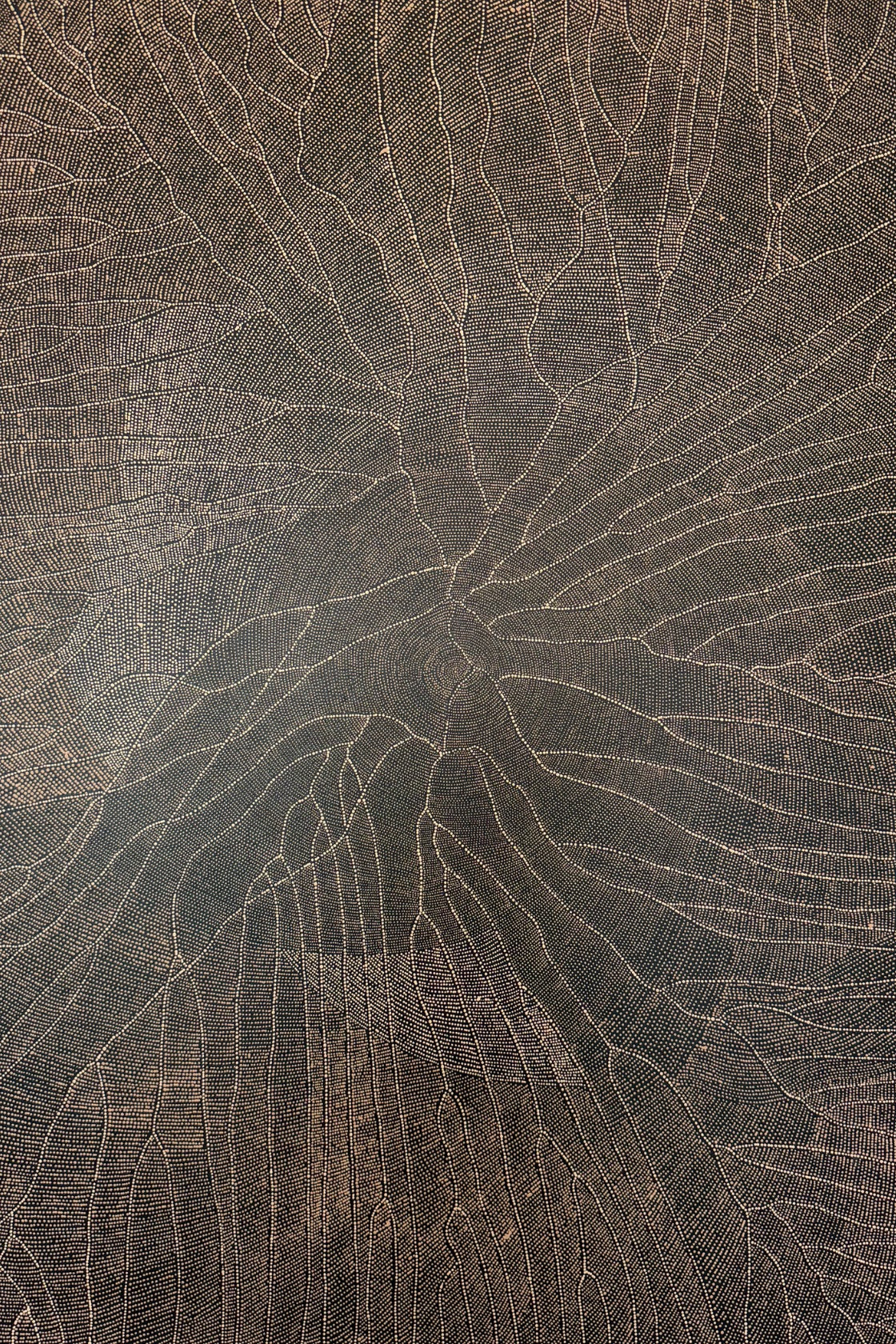A close-up of a dark brown textured surface with fine light tan lines forming a branching, tree-like pattern across the entire frame.